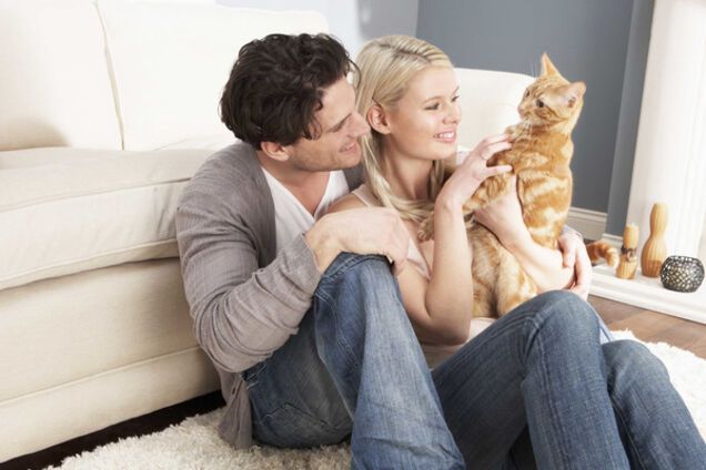 Ученые выяснили, как на самом деле кошки относятся к человеку