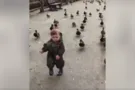 малыш с утятами