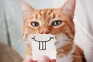 29 марта на Обозреватель.LIVE
