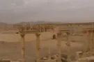 Пальмира