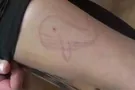 Синий кит
