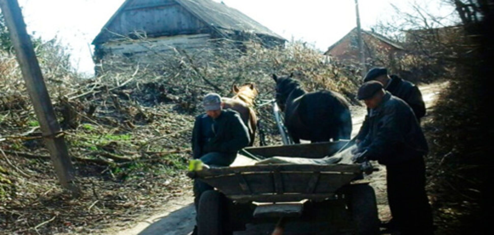 ЧП в Житомирской области