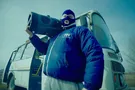 Грибы