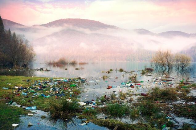 Закарпаття