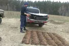 мины