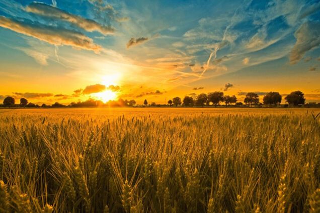 Україна краєвид