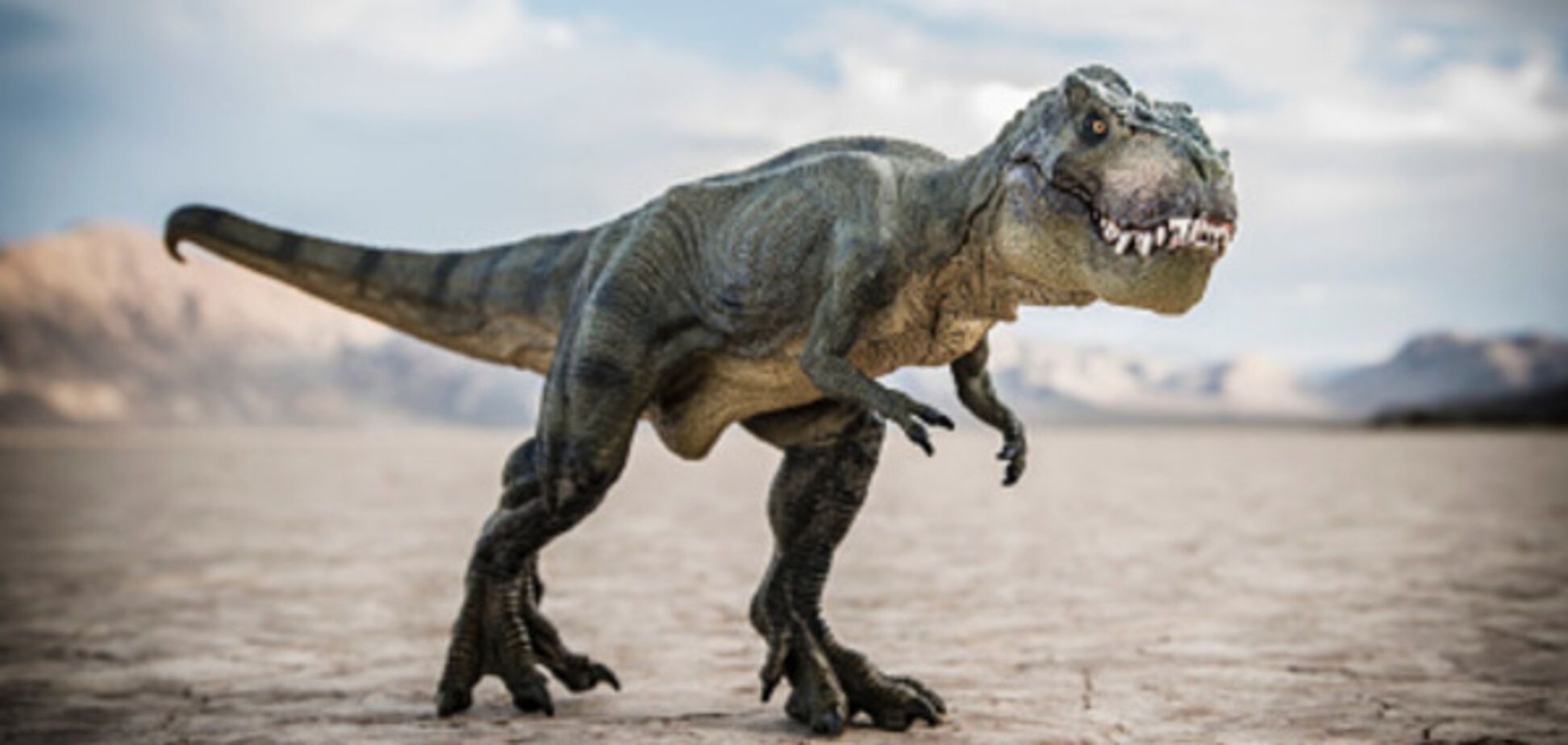 10 тонн: виявлено новий вид гігантських динозаврів