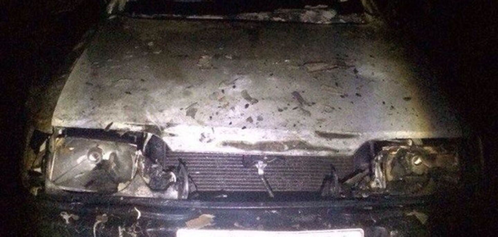 В Запорожской области сгорел гараж с иномаркой (ФОТО)