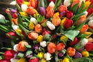 Поздравления с 8 марта