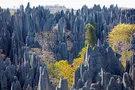 Цинжи-дю-Бемараха