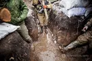 АТО на Донбассе