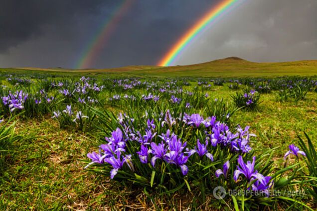 Прогноз погоды в Украине