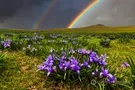 Прогноз погоды в Украине