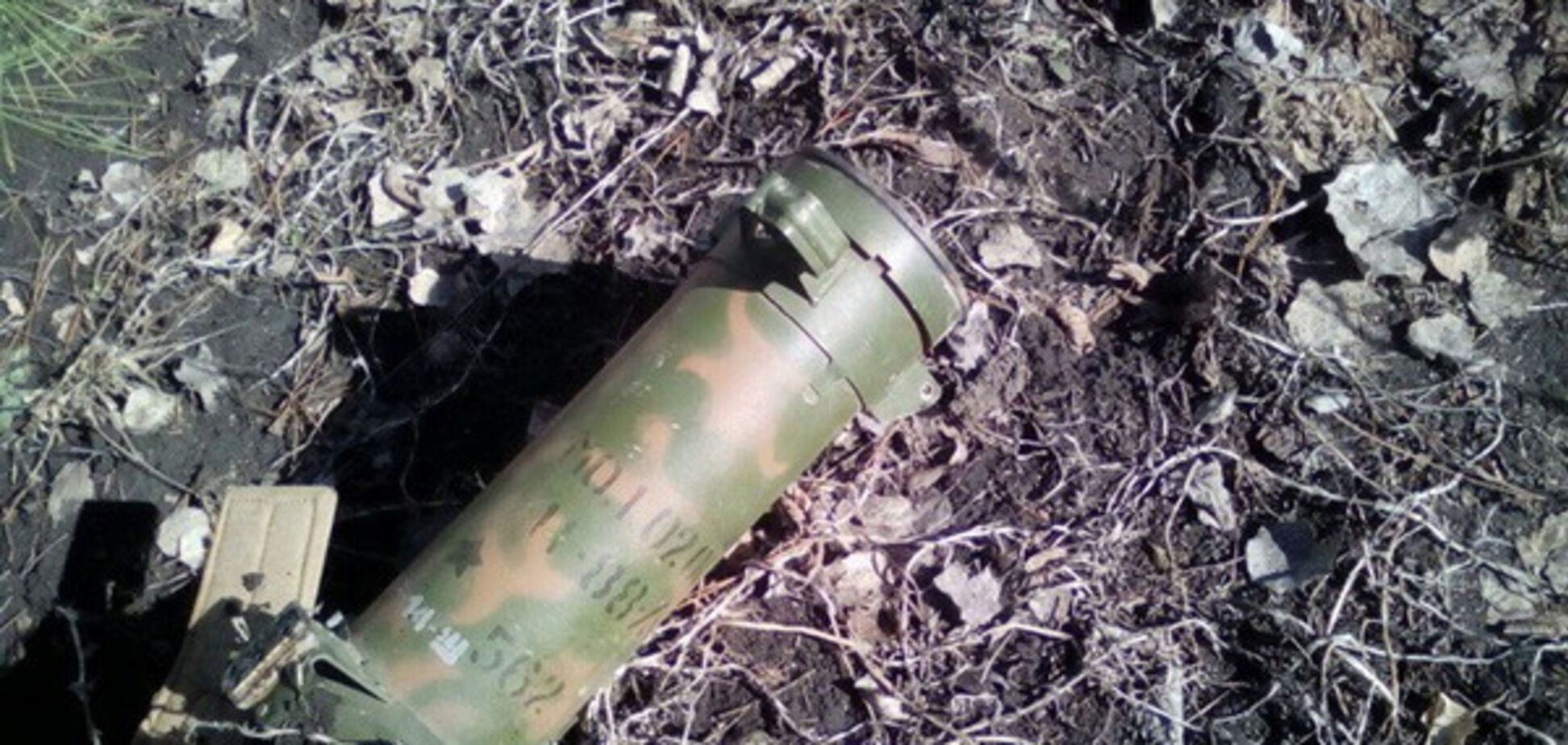 Шмель на Донбассе