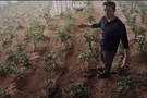 Теплица, наука
