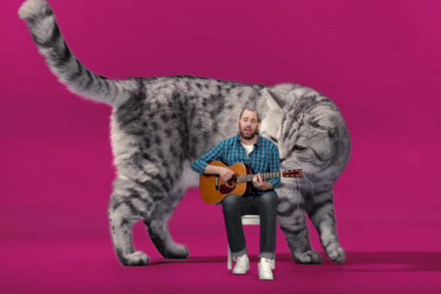 Вискас, кот, Семен Слепаков