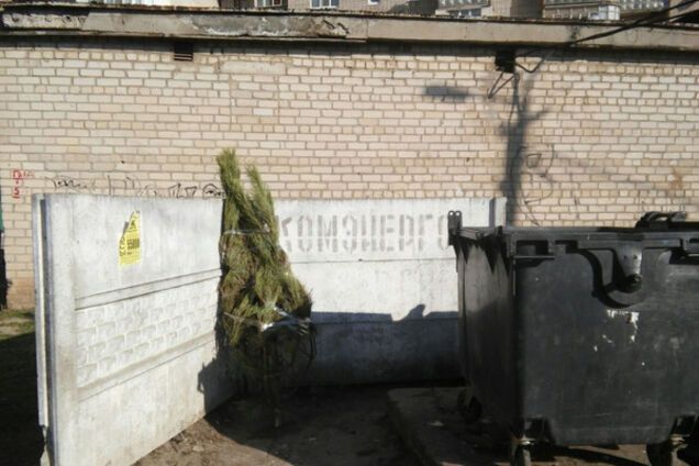 Еще один сдался: в Запорожской области на свалку вынесли елку (ФОТО)
