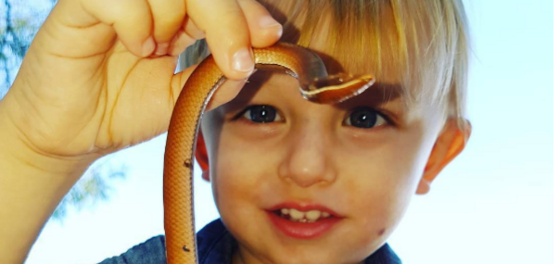 Ловец змей: двухлетний австралиец покорил соцсети необычным увлечением