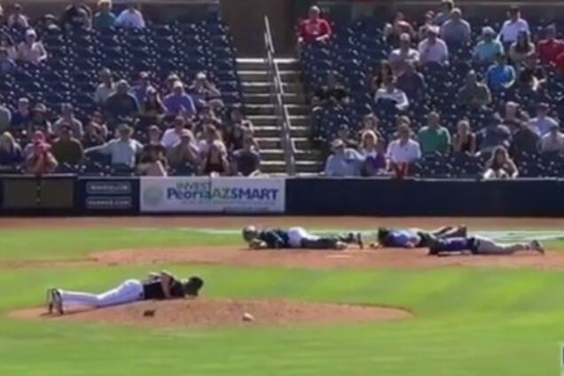 бджолиний рій