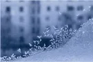 Метро и жизнь. Метрополис и Харьков