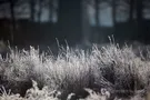 Погода в Украине