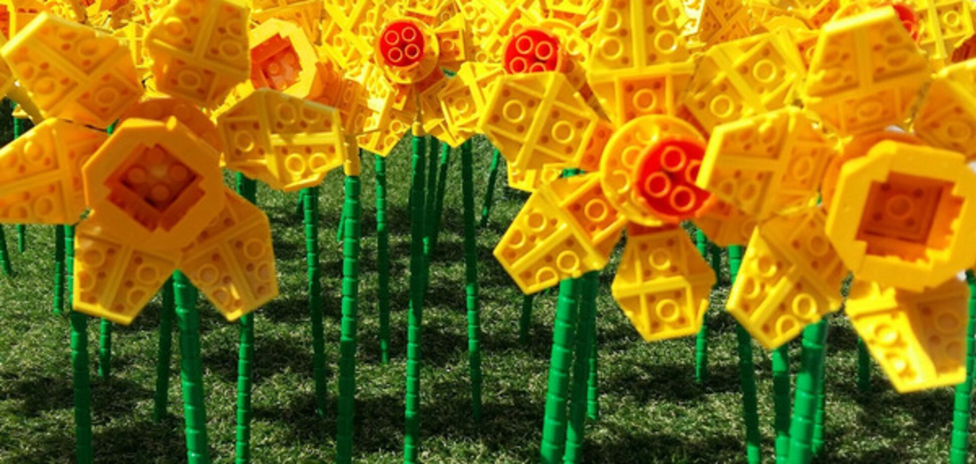 Lego-нарциссы