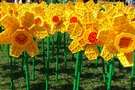 Lego-нарциссы