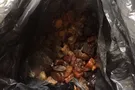Янтарь