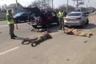 Задержание на Харьковщине