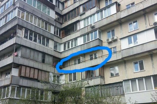 Квартира живодера