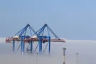 Одесса в тумане