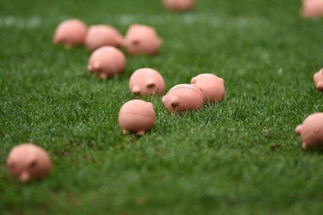 чемпионат Англии