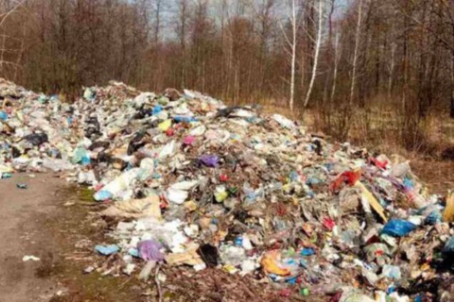 Львовский мусор