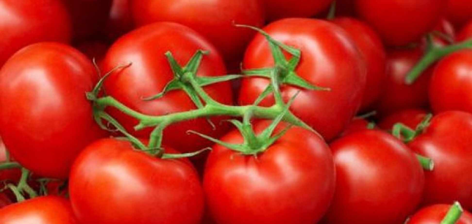 Помидоры