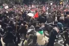 Драка сторонников и противников Трампа