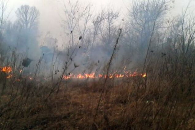 Последние 24 часа в области запомнились массовыми пожарами