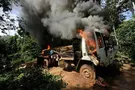 Як зупинити лісоцид: досвід Еквадору