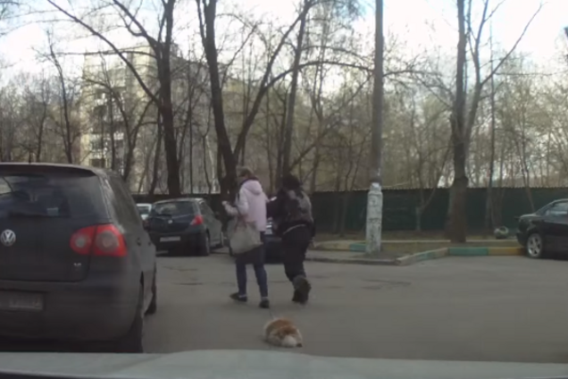 Жестокое обращение с животными