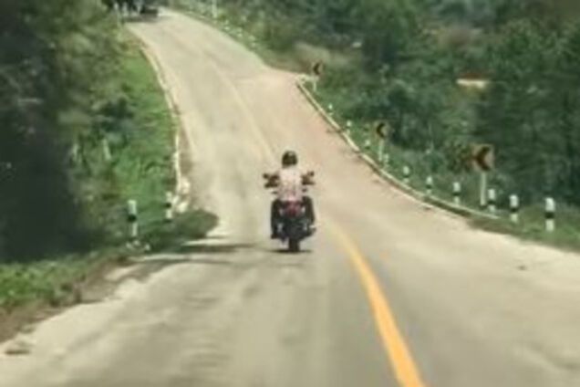 Змея на ходу попыталась укусить байкера. Опубликовано видео