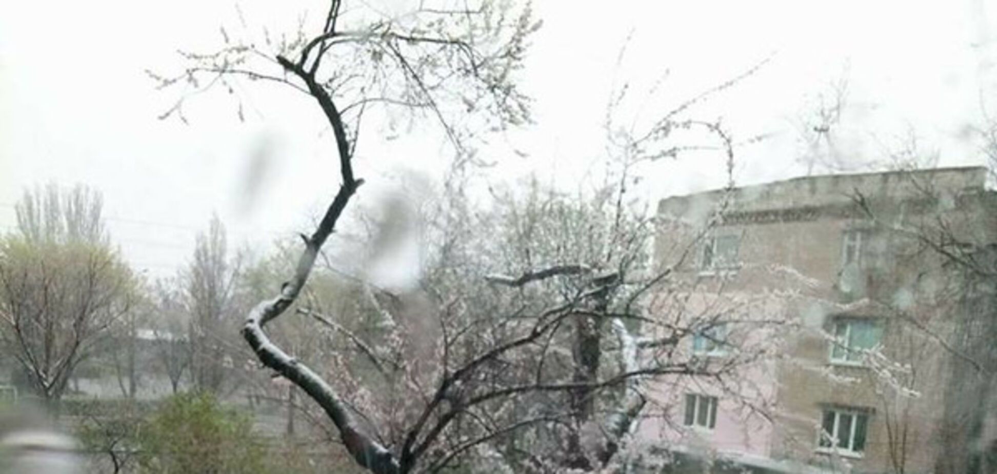 Апрельский снег в Днепре