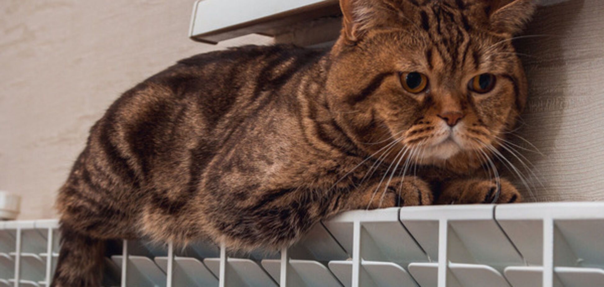 В Украине снова включают отопление