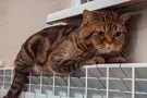В Украине снова включают отопление