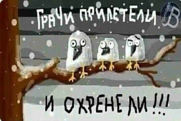 МВФ, дай кредит на реформу атмосферы: соцсети развеселил снег в апреле