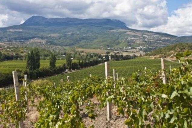 Три года оккупации: как умирает аграрный Крым