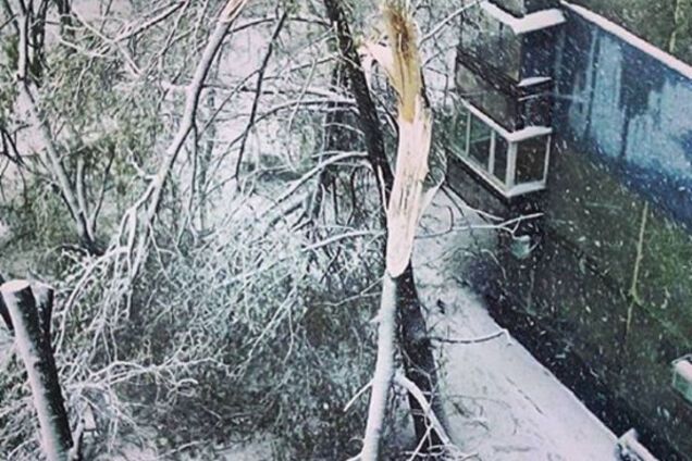 Апрельский снег в Днепре