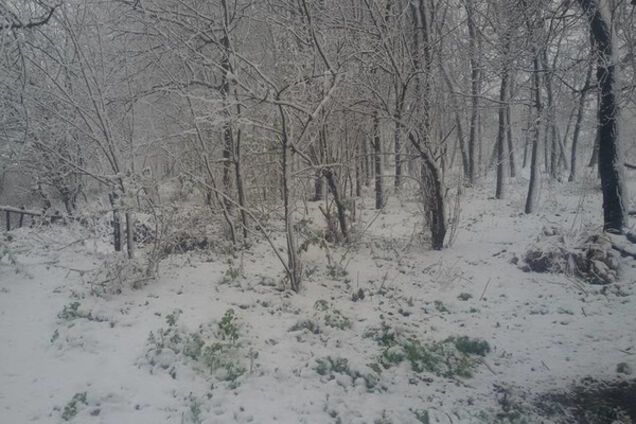 Апрельский снег в Днепре