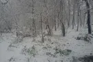 Апрельский снег в Днепре
