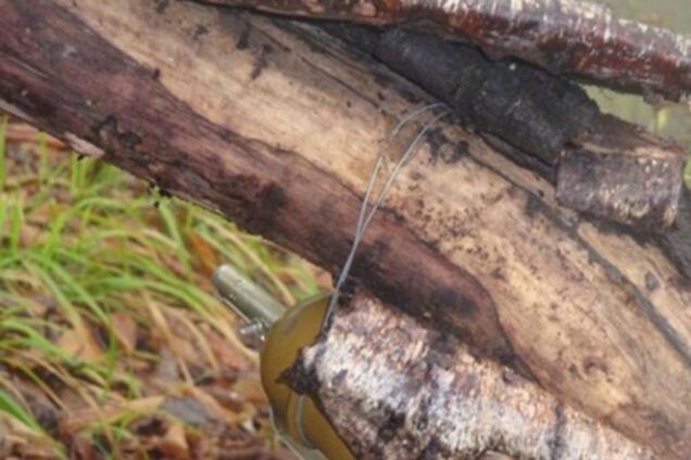 граната, растяжка