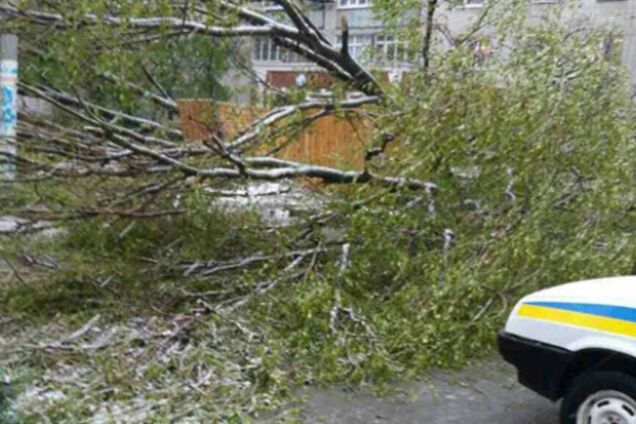 Непогода в Украине