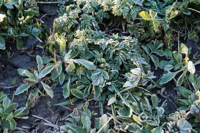 похолодание в Украине апрель